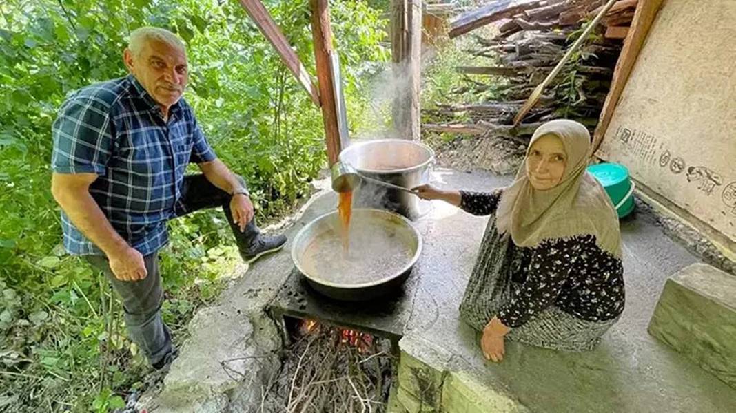 Anadolu'nun mucizesi: Doğal enerji kaynağı! Doğal beslenme akımının yeni yıldızı: Dut pekmezi 19